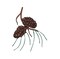 2 inch Pine Cones and Needles, Tree Branch, Embroidered, Iron on Patch